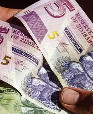 Zimbabwean five and two dollar bond banknotes, nic