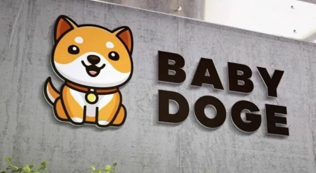 Baby Doge Coin celebra el mejor sorteo del concurso de memes